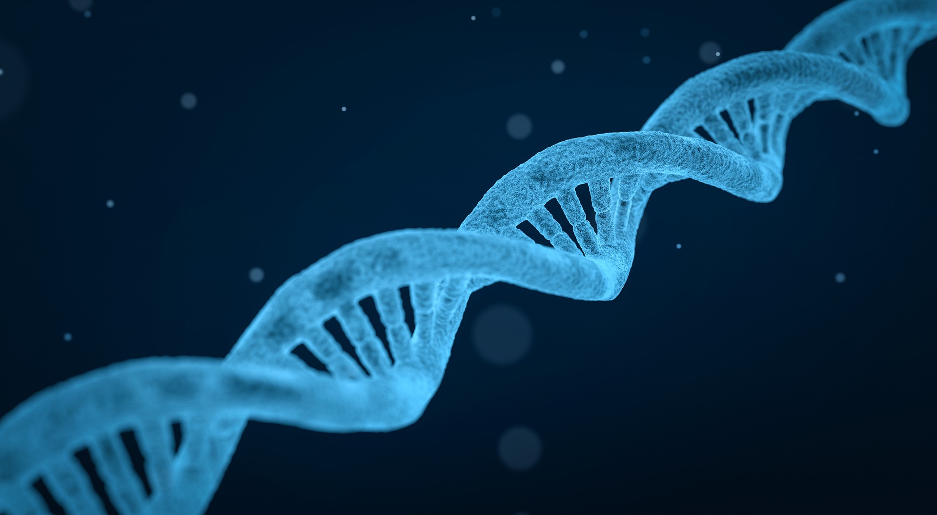 Heredity Image of DNA StudySmarter